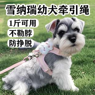 Schnauzer Puppy Leash Special Puppy Puppy Walking Dog Small Size Dogs Walking Harness Pet Supplies