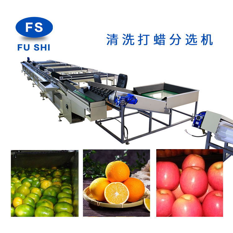 厂家制造 FGX-DZS型 果品等级分选线 双通道效益高速度快产量大