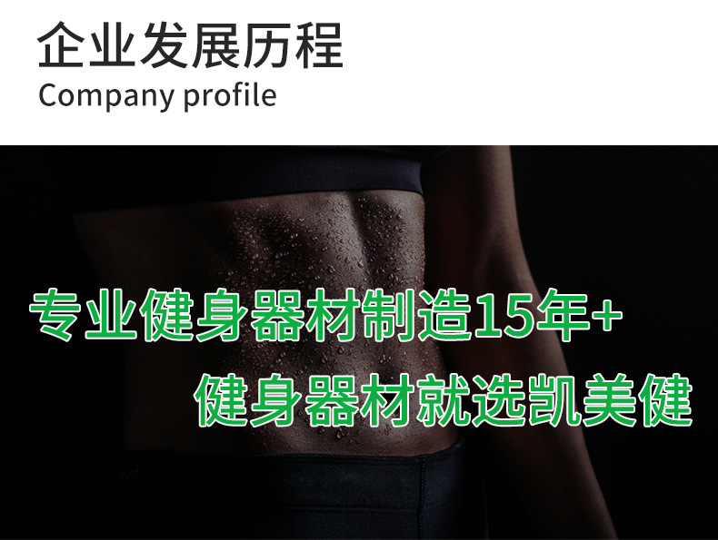 公司简介详情部分_03