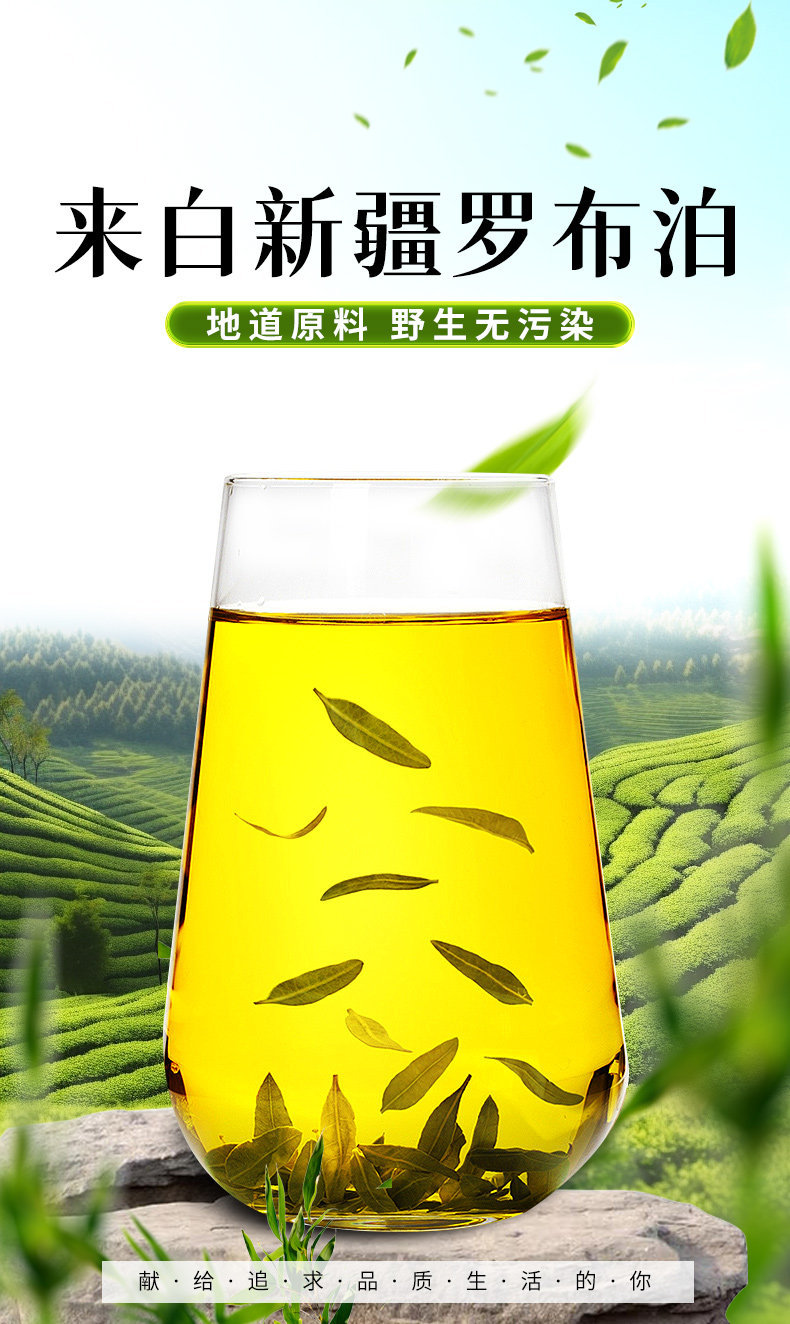 Luo Bu Ma Tea Apocynum Leaf Tea 1000g Xinjiang Herbal Wellness Tea for Daily Brewing overview