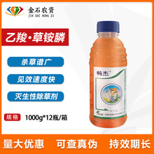 �G�ԕ��� 20%����&middot;���@좷Ǹ��؜������|�����o�~̎�����݄��rș