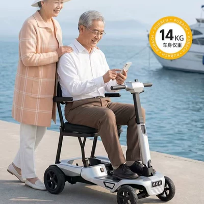 Elektrikli skuterlər: Elderly, Lightweight Four-Wheeler