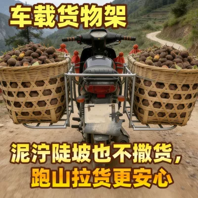 New Model of Electric Scooter Motorcycle Frame with Foldable Heavy-Duty Rack for Street Vending, Two-Wheeled Electric Vehicle Cargo Rack