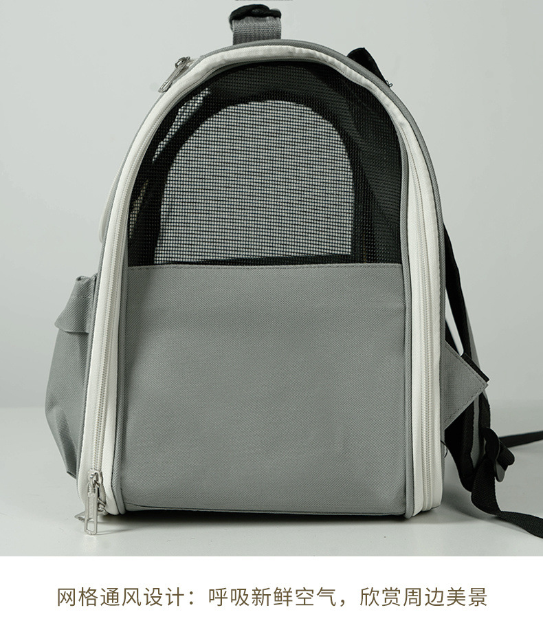 aa1d5ff4-0e68-48ff-9337-c170459e6771.jpe