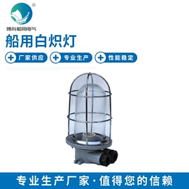 其他专用灯具;信号灯;船型开关