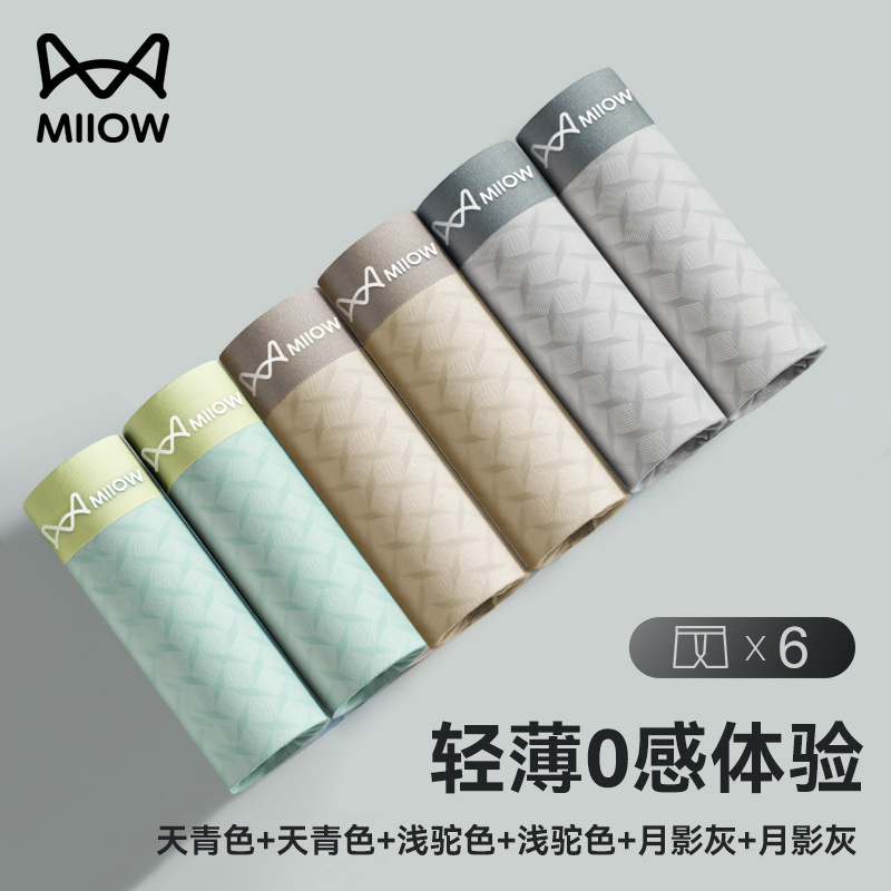 [메인 사진 자카드 스타일] 6조합 D