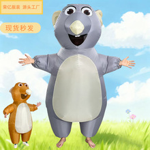 �羳��ʥ�ڱ������ż�������ɶԸ��װ����ݳ������������