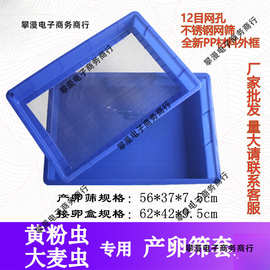 黄粉虫产卵筛网养殖盒大麦虫繁殖设备箱面包虫不锈钢虫卵分离套装