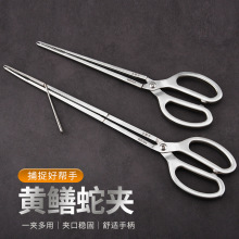 304���P��~�Q�S�X�A�з�A���r���q�X�~�Q�����Q�A�ߊA�~�����A