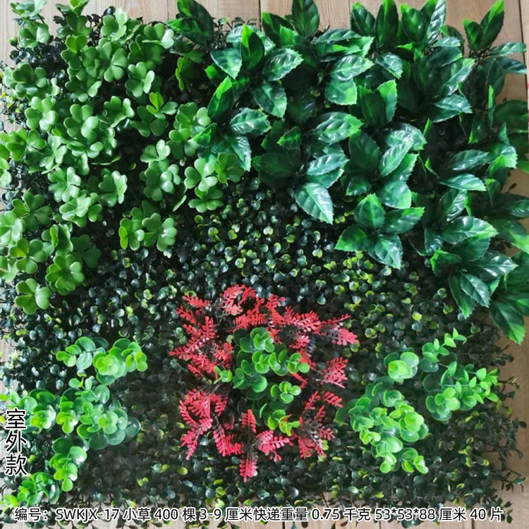 SWKJX-17 Ngoài Trời (50*50)
