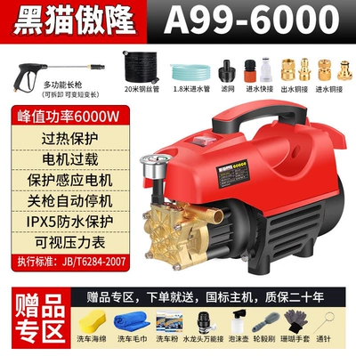 Black Cat High-Pressure Car Washer for Portable car washer - 80-year-warranty-on-the-motor-worry-free-after-sales-service-happy-and-smooth-washing