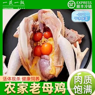 3�������S����ĸ�u�����u���u�ߵز��u�r��ɢ�B������u��S���]