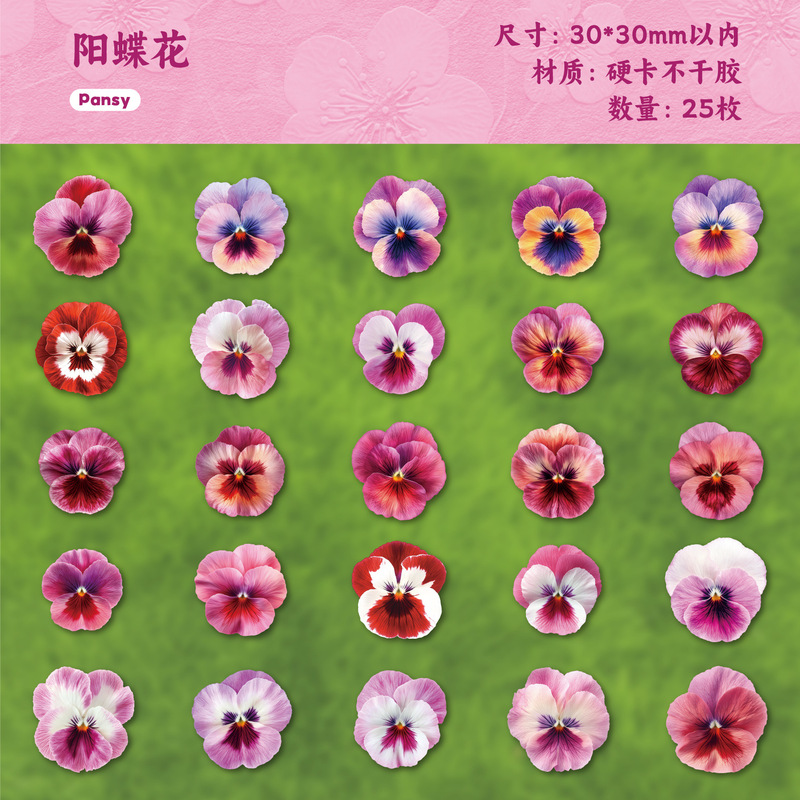 Retro Story贴纸包朵朵系列手绘花卉主题手账DIY装饰贴25枚入6款|undefined