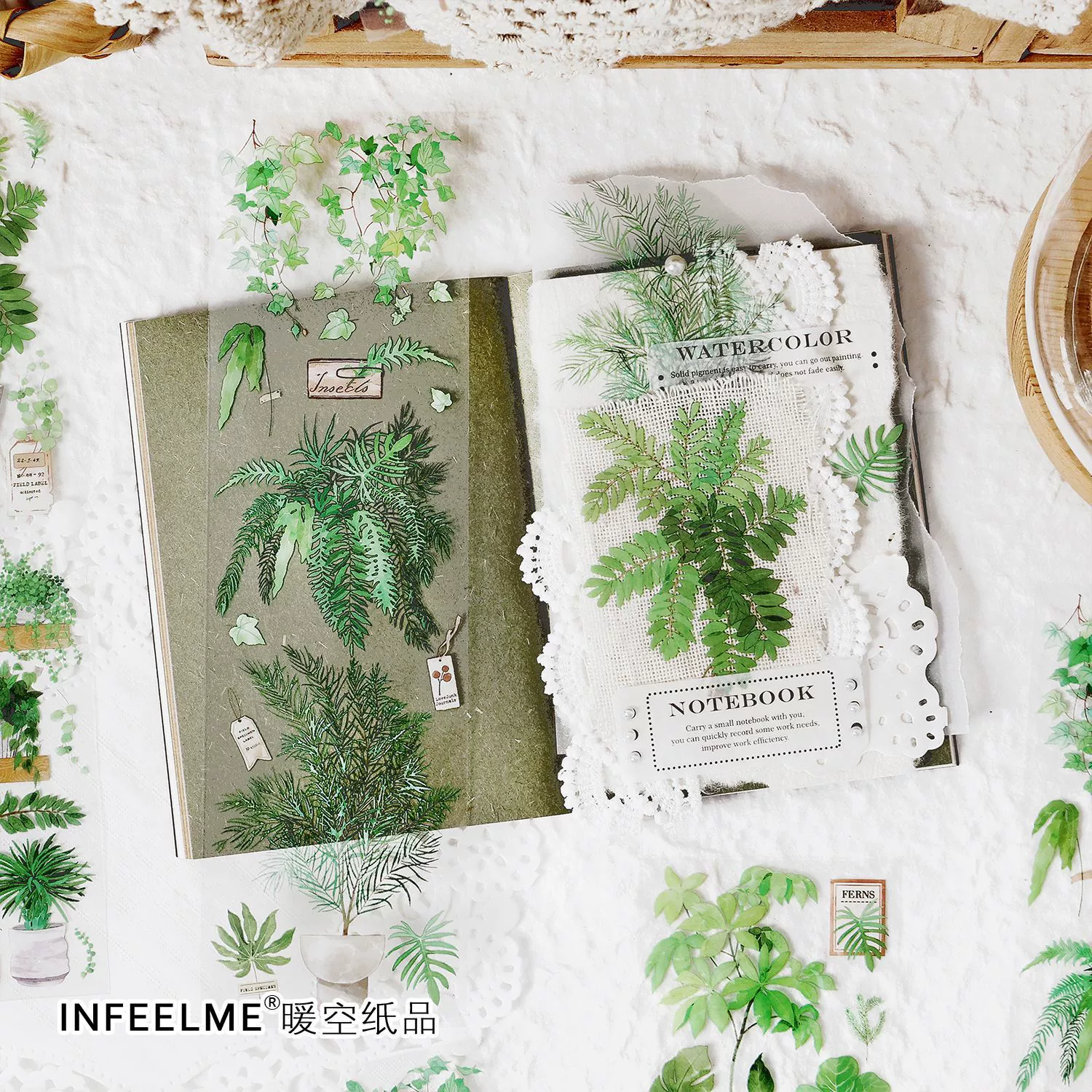 Infeelme Qingchuan Green Wild Series PET Sticker Small Fresh Green Botanical Handbook 6 entry