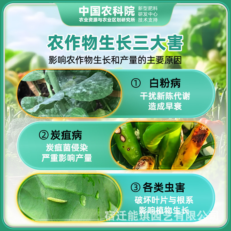 农作物通用-土壤种植除虫强根--中国农科院-撒施型清菌颗粒(桶装)|undefined