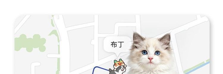 Real-time dog tracking smart GPS tracker, new anti-electronic fence locator, waterproof pet cat collar, others