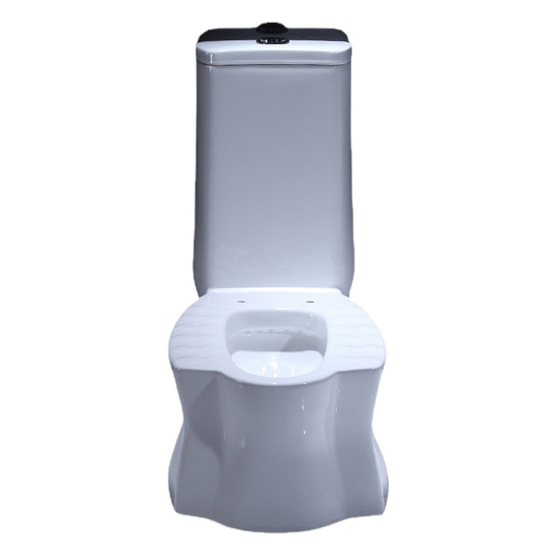 Guangdong cuclillas de doble propósito aseo de doble propósito Hotel en cuclillas inodoro de alto apoyo