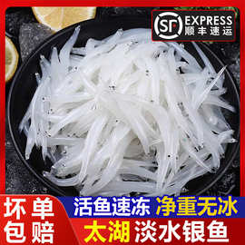 淡水太湖银鱼新鲜活冻面条鱼白饭鱼肉嫩刺少净重无冰100g/包