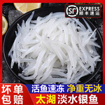 淡水太湖银鱼新鲜活冻面条鱼白饭鱼肉嫩刺少净重无冰100g/包