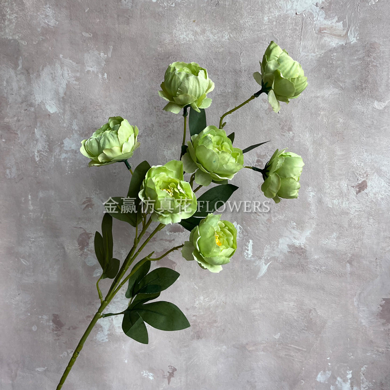 Boda Mori Simulación de flores y plantas verdes Pico de bambú Hierba Simulación de plantas verdes de invierno espárragos Plantas de simulación Escenografía de plantas verdes falsas