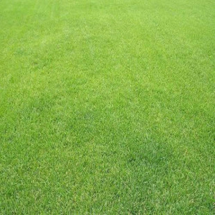 ���òݷN�� �Ͱ��Ͳ�ƺ�� ���`̤��С�^���@ͥԺ�G�����Ѳ�ƺ�N��