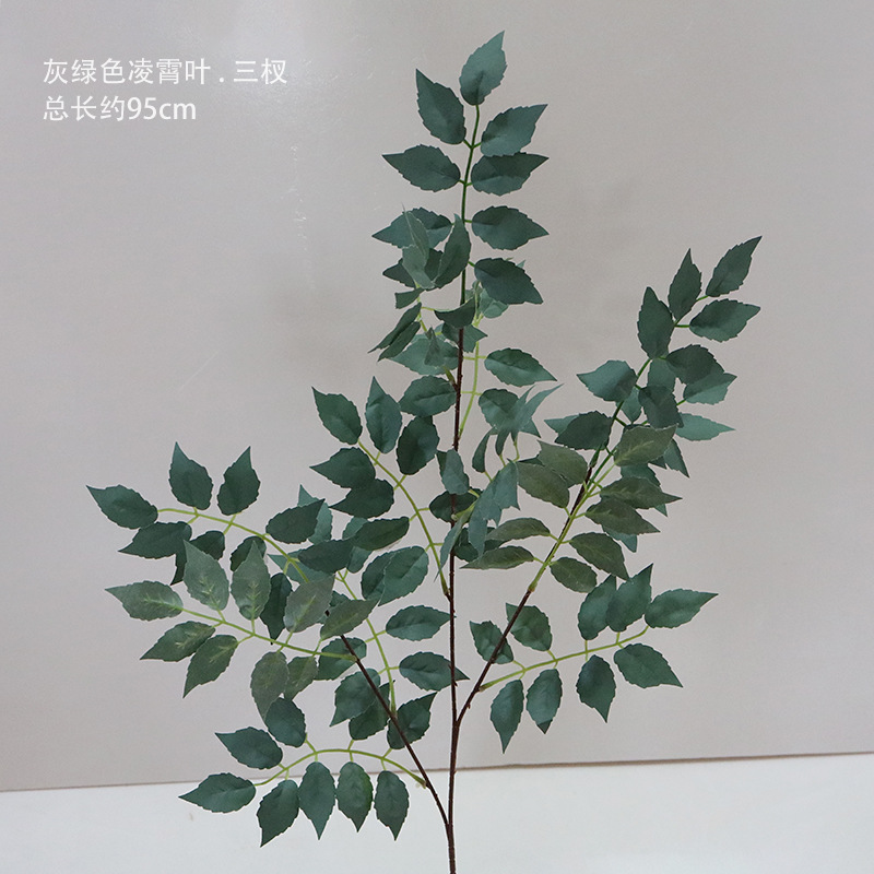 Gris verde Ling Xiao Ye