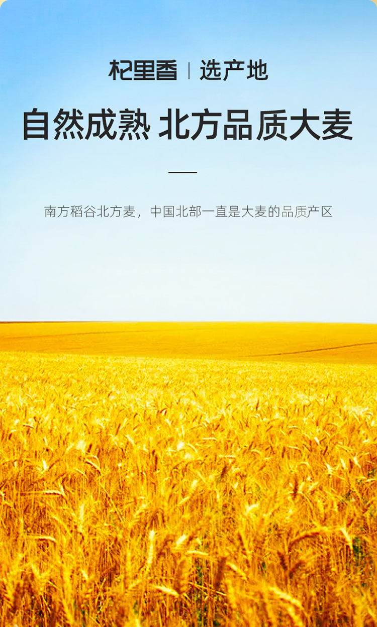 Roasted Barley Tea 238g Bottle Low Temperature Slow Baked Fragrant Herbal Grain Tea key features