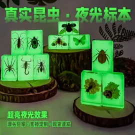 标本;树脂工艺品;科教玩具