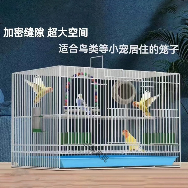 86e31103-8e28-40ae-a723-9e8eee0a0428.jpe