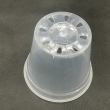 10cm新款蝴蝶兰专用花盆透明白塑料树脂育苗杯石斛绿植透气养根
