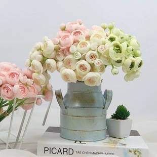 ins�L¶ɏ���滨�ٻ���Y����������С���º��s�Ҿ��bzӰ�b�