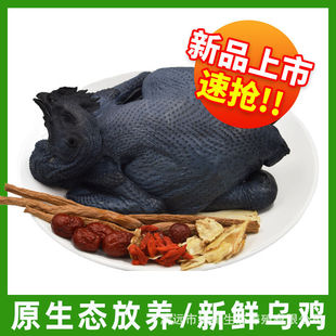 ���u���r���u�r��ɢ�B�����u���u���w�F����ֻ