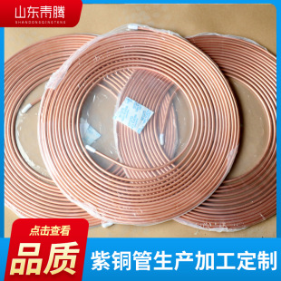 T2���~�ܿ��{��������P�ܾ���ë�����~�܌���ʳƷ��С�~��C1100