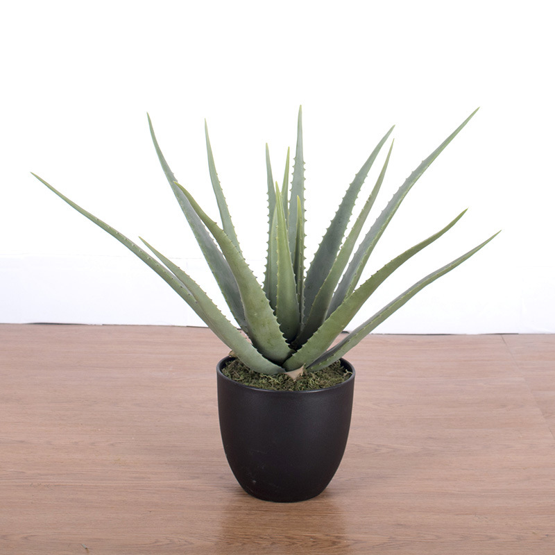 Decoración del hogar suculentas plantas en macetas simulación suave aloe vera bonsai alta simulación suculentas plantas verdes falsas en macetas image 9