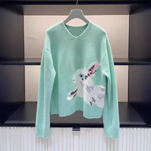 �F؛2026�����¿������L���w�Ứ�D�����^ë��ᘿ���Ů