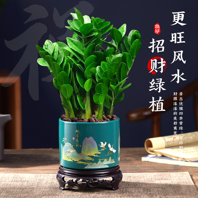 商品图