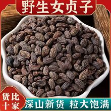 野生女贞子中药材正品女贞子茶男人泡茶泡酒冬青籽旱莲草女贞子