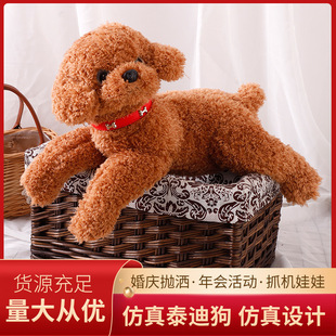 ���Q���Ʒ���̩��С��˯�X������żë�q��߹�������ϵ���նY��