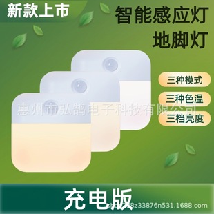 Rechargeable Sensor LIght Infrared Human Body Sensor LIght Sensor Foot LIght LIthium Battery Sensor LIght LD01-li