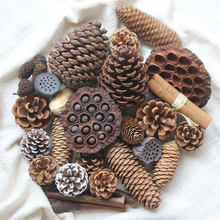 �ɹ��b��Ѹ�ɏ����Ȼ�ɻ� �׃��@�ɘ�֦ɭϵ�ֹ�diy���ϰ�����
