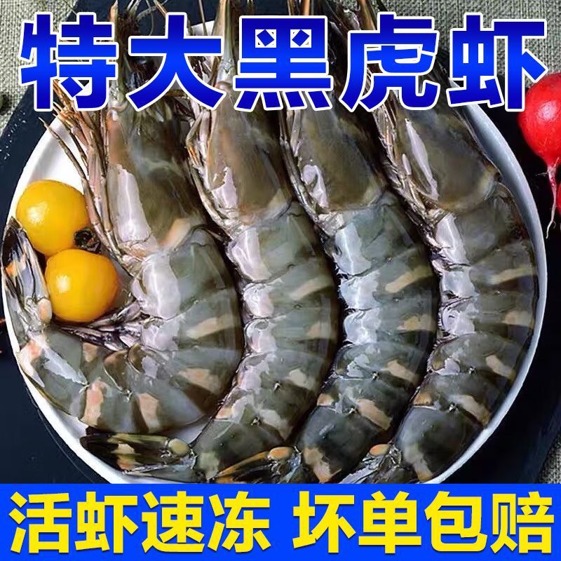 北海湾黑虎虾大虾鲜活虾子新鲜特大号冻虾鲜活海鲜水产批发