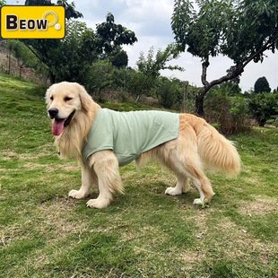 ؐ�Wbeow �ļ����ﹷ���·�����͸��polo������T�������־�������