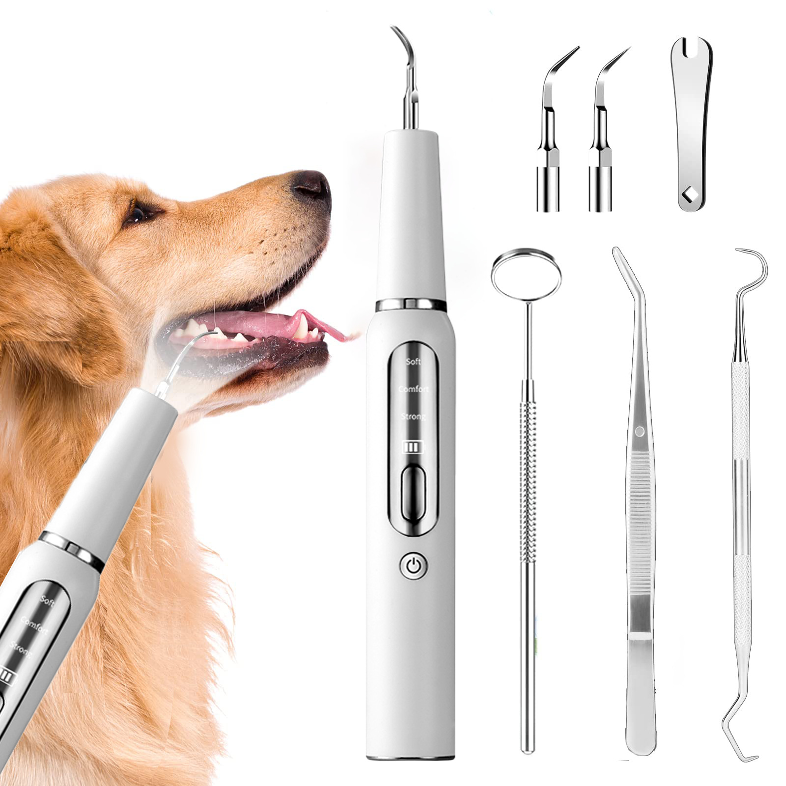 Limpiador dental ultrasónico transfronterizo para mascotas Laisen, limpiador dental eléctrico para perros, dispositivo dental de belleza para el hogar, máquina de eliminación de cálculos