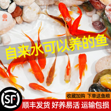 ���~���~���^�p�~��ˮС�ͺ��B�ͻ�t�ݽ���ˮ�~���w�ݽ��~����~