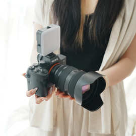 单反相机模型 影视摄影道具 样板间摆件影楼展示用品家居软装饰品