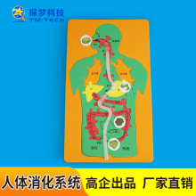 ���w����DIY����ϵ�y�Ƽ�С�������Kƴ�D�׃��@�̾߿ƽ̌������