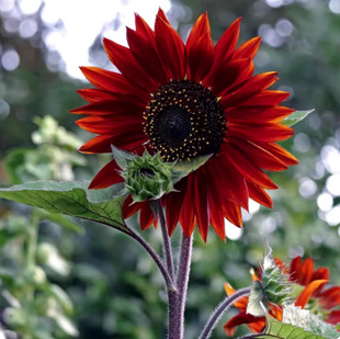 ����M؛���տ��N���^�p��������տ��N���҃���Nֲ���տ��N