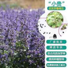 ؈GNѻ^ֲﻨܷNӶ༾؈ݷNѻN