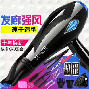 Hair Salon Hair Dryer Household High-Power Hot and Cold Air Quick-Drying Barber Shop Professional Hair Dryer Blue Light Hair Care Dormitory