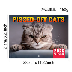 跨境爆品 2026 Calendar Collection 日历合集骑马钉台历挂历现货